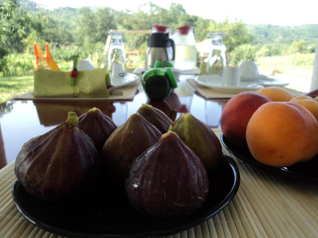 B&B Casa Vacanza Verzellino 산 그레고리오 마뇨 외부 사진